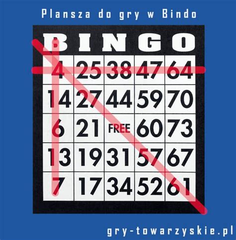 gra w bingo online